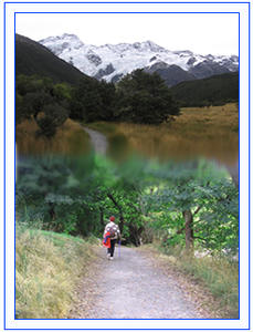 Bushwalking-large