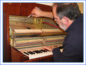 Piano Tuner Large