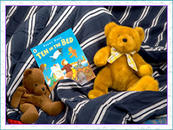 Teddies